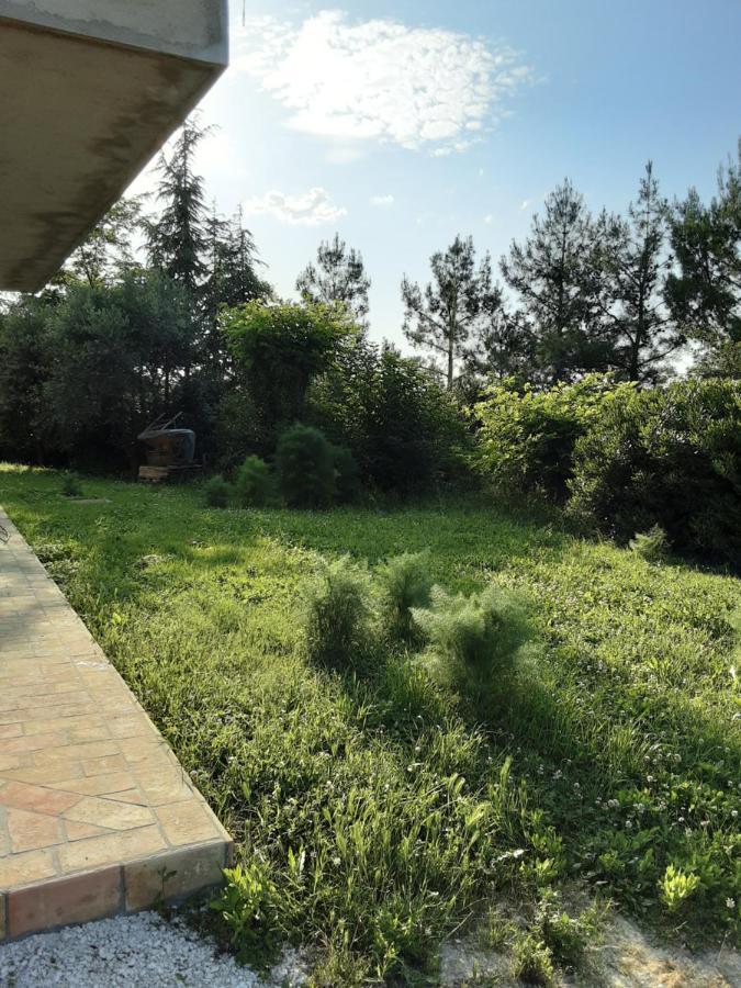 Fonte La Perna Villa Polverigi Exteriör bild